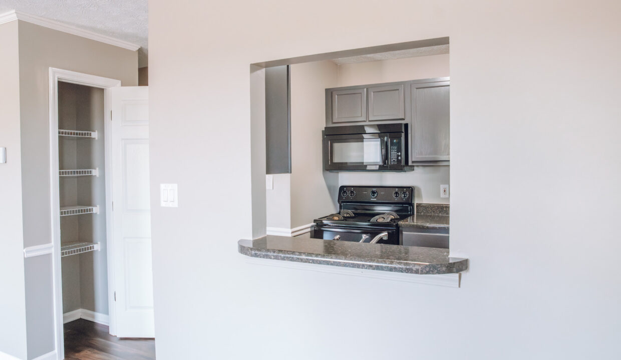 horizontal peek into kitchen and pantry